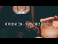 XXXTENTACION - PALM TREES (Lyric Video)