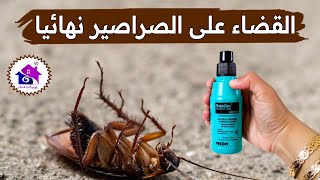 القضاء على الصراصير ♻️ تدابير منزلية للتخلص من الصراصير نهائيا (بدون مبيدات)