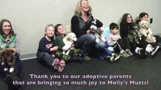 DogSense Online Puppy Socialization with Molly's Mutts by Go Anywhere Dog 308 views 9 years ago 3 minutes, 58 seconds