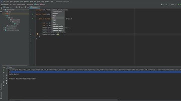Java Tutorial 2023 E1 | Printing to the console and variables!