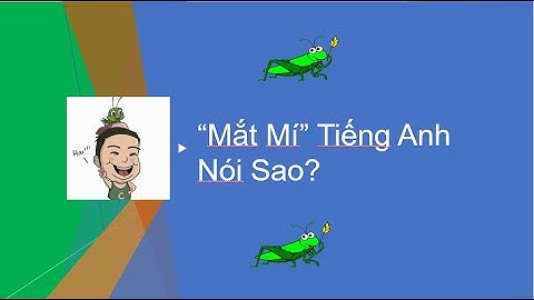 Mắt 2 mí tiếng anh là gì năm 2024