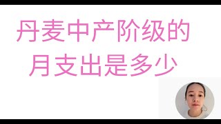 丹麦中产阶级每月支出