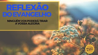 Reflexão do Evangelho - Ninguém vos poderá tirar a vossa alegria