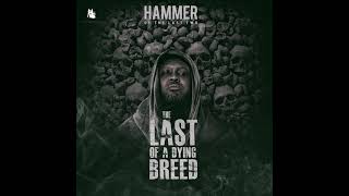 Hammer Of The Last Two- Ohohuo Asem Feat. Agyekum Sarkodie Artwork Audio
