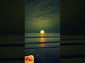 هاني شاكر غلطه