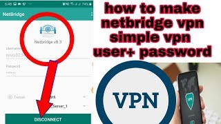 How To Make Netbridge vpn simple vpn user password screenshot 5