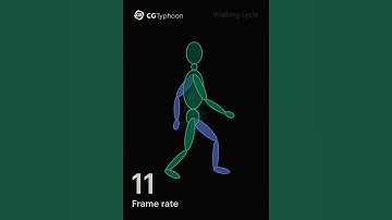 Human walking cycle for 30 fps #walkcycle #animation