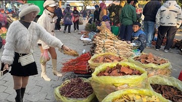 Khám Phá Khu Đồ Rừng Bắc Hà,Nơi Bán Toàn Đặc Sản Ngon -Lạ – Sạch