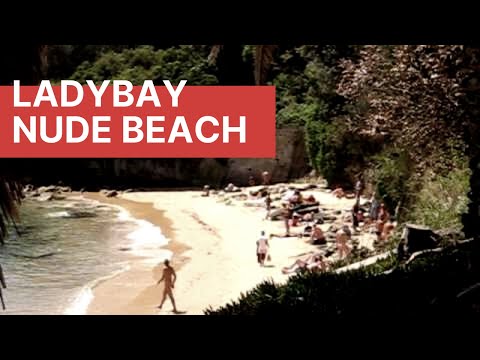 Sand Nude Beach Sex - Lady Bay Nude Beach | Exploring Australia | Best spot to view Sydney skyline