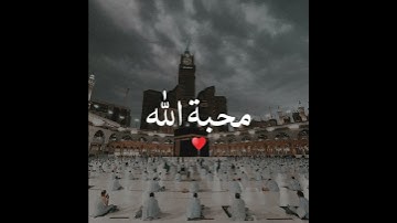 قران كريم مقطع قصير | القارئ بدر التركي