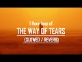 1 hour loop of the way of tears  slowed and reverb  hashnooor