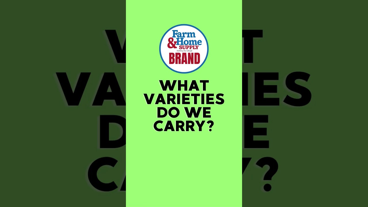 What is Wildology Pet Food? Spotlight on Private Brands