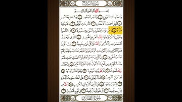 سعد الغامدي جزء من سورة البروج