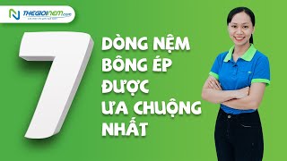 7 nệm bông ép được ưu chuộng nhất | Mẹo chọn nệm bông ép tốt nhất | Thegioinem.com