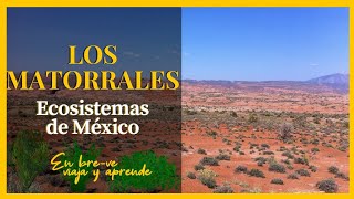 MATORRALES Ecosistemas de Mexico