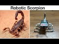 How to make Robotic Scorpion.