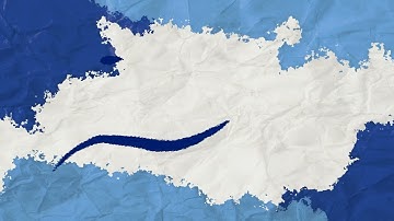 SENDJIM Final 1 video