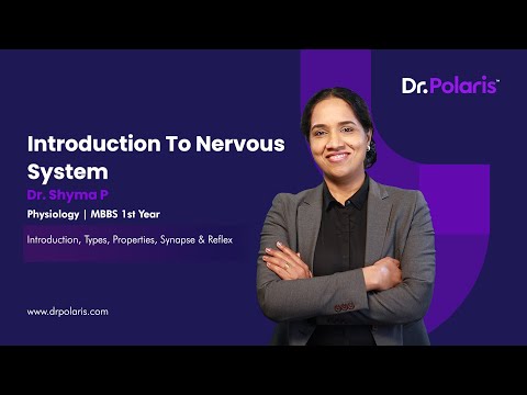 Physiology - Introduction to Nervous System | Introduction, Types, Properties, etc. | MBBS 1st Year