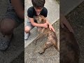 飼い主がむ2週間ぶりに帰って来て喜ぶ元猟犬 #shorts