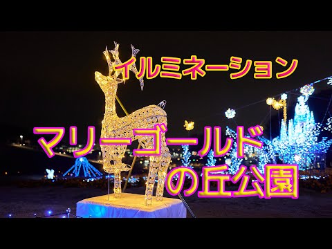 【イルミネーション】マリーゴールドの丘公園（埼玉県本庄市）【4K】Illumination