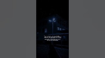 ولقد آتينا موسى الكتاب / القارئ أحمد البشر