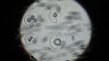 Droplet traps in 2-phase microfluidic system