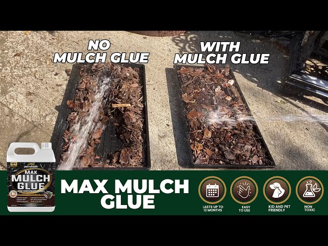 Using Mulch Glue On Pea Gravel