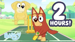 playing cricket rusty outdoor fun bluey bluey