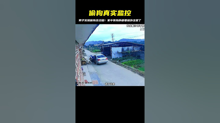 男子竟然敢偷狗！監控實拍全過程，太無恥！家里有狗的千萬小心 #紀錄片 #人間世 #醫院 #生命緣 #真實案件