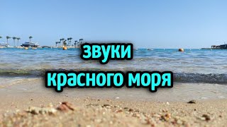 это можно слушать вечно 🌊успокаивающий звук красного моря🌊🤗sound of the red sea😄🌊Египет🌴egypt🌴