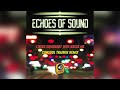 Echoes Of Sound - I Need Somebody Who Needs Me (Consoul Trainin Remix) - Official Audio Release