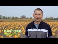 Вирощування гарбузів - перспективний аграрний бізнес в Україні