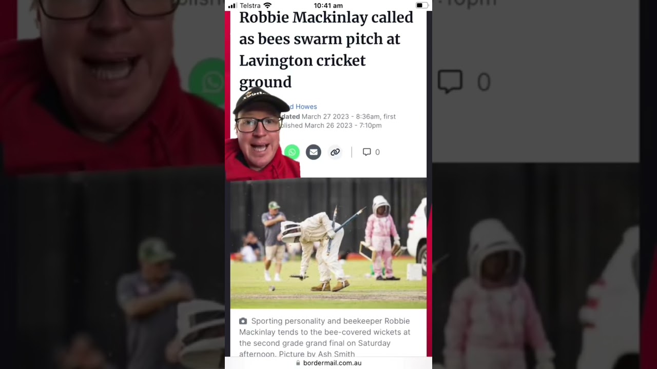 When bees interrupt a game of cricket it is always good to have a hero like Robbie Mackinlay on hand