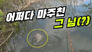 (SUB) 5짜~!!? 를 마주하다!!!! 붕어낚시 내림낚시 중층낚시  carp fishing へらぶな