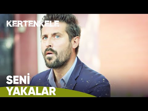 Kertenkele yaşıyorsa... | Kertenkele 73. Bölüm Sahneleri