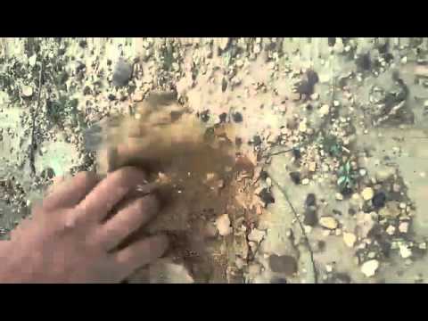 عامر منادي باديه النجف مع أبو نسيم واحمد هطبل