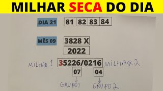 Jogo do bicho: Essa TABELA MÁGICA acerta uma milhar e um terno toda semana  