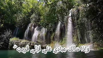 وإذا سألك عبادي عني فإني قريب 🌹🌹 سورة البقرة #قرآن #قران_كريم #ماهر_المعيقلي #عبد_الباسط_عبد_الصمد 