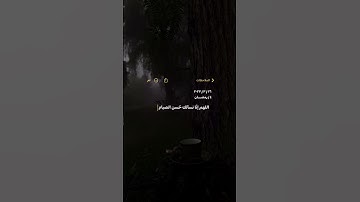 ستوريات انستا بدون (حقوق) قرآن كريم بصوت جميل ستوريات دينيه ستوري انستا فديوهات هادئه ستوري قرأن 🤍.