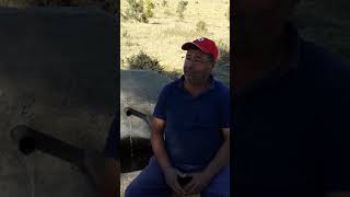 karanfil ekmişim . çamşıh türküsü