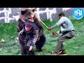 When Animals Go On A Rampage! Interesting Animal Moments CAUGHT ON CAMERA! #36