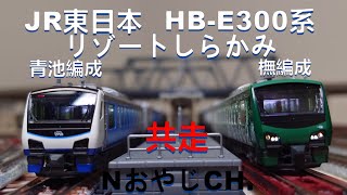 共走 JR東日本 HB-E300系 リゾートしらかみ(青池編成) & リゾートしらかみ(橅編成)  n scale JR EAST HB-E300 RESORT SHIRAKAMI
