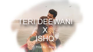 Teri Deewani X Ishq | Kailash Kher | Amir Ameer | Faheem Abdullah | Rauhan Malik | Peace