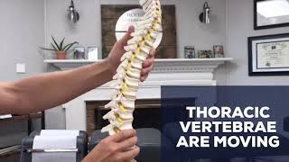 Posture and Your Spine