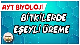 AYT Biyoloji /Bitkilerde Eşeyli Üreme #sayfa 206