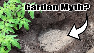 Top 10 Garden MYTHS... BUSTED! by Next Level Gardening 43,803 views 2 weeks ago 11 minutes, 44 seconds