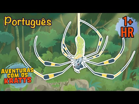 Aranhas [episódios completos]