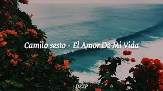 Camilo Sesto - El Amor De Mi Vida [LETRA]