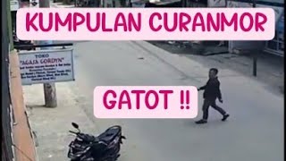 CURANMOR GATOT #shorts #viral #youtube #youtubeshorts #subscribe #short #video #curanmor