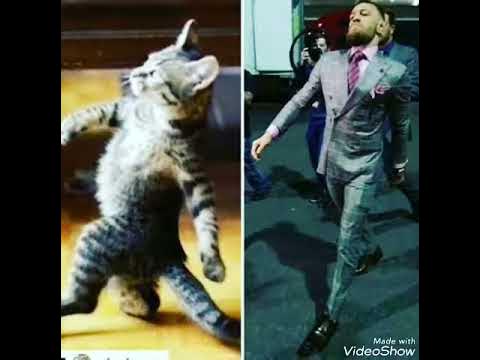 Конир - YouTube